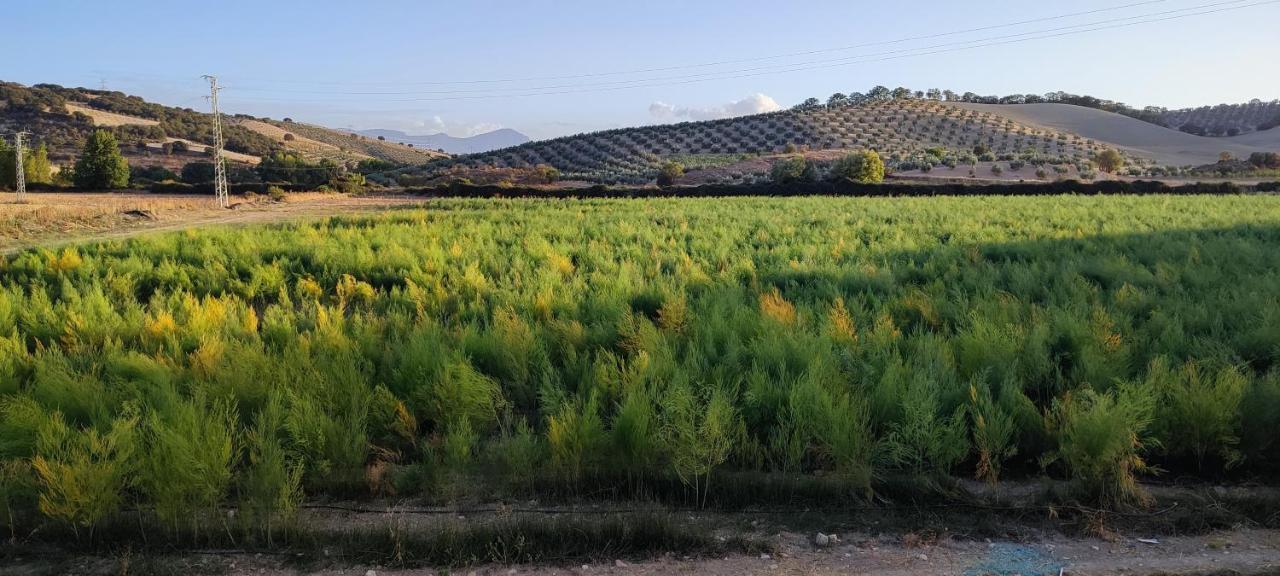 Vivienda Turistica Rural